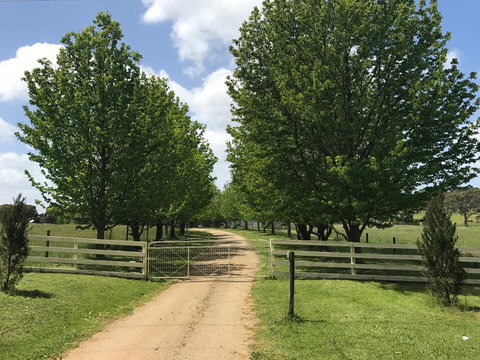 Wonderland Hobby Farm - Perths Hotel 1