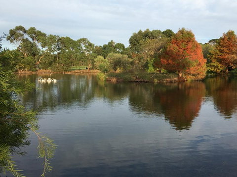 Wonderland Hobby Farm - Perths Hotel 2