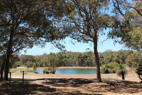 Woodstone Goanna Cottage - Perths Hotel 3
