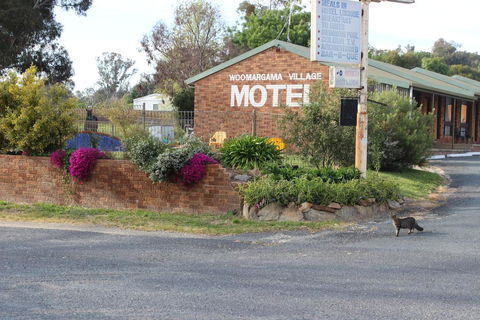 Woomargama Motel - Perths Hotel 3