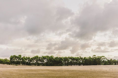 Yallingup Lodge Spa Retreat - Perths Hotel 0