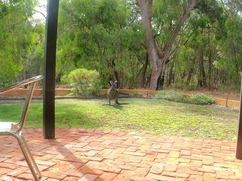 Yallingup Pet Friendly Bush Retreat - Perths Hotel 3