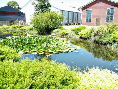 Yarragon Dairy Family Room - Perths Hotel 1