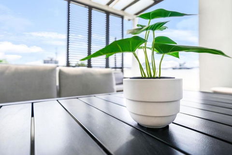 Accent On McLeod - Breezy Outdoor Living - Perths Hotel 0