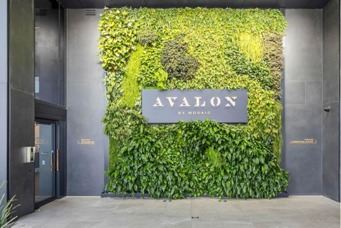 Avalon Resort Maroochydore - Perths Hotel 2