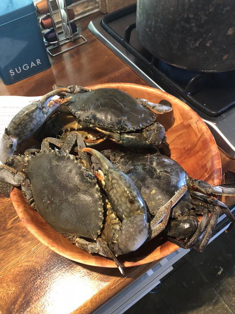 Cairns Beach House Our Oasis - Perths Hotel 4