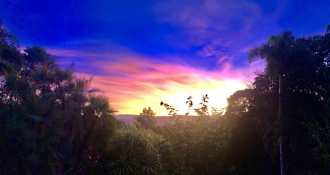 Daintree Manor B&B - Perths Hotel 3