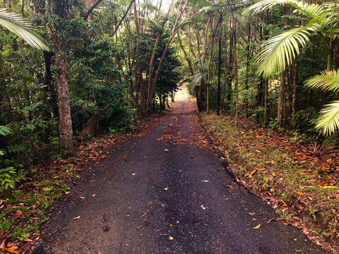 Daintree Manor B&B - Perths Hotel 12
