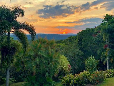Daintree Manor B&B - Perths Hotel 13