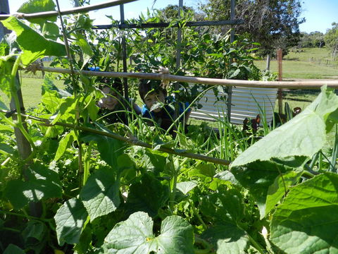 Hay Point Country BnB - Perths Hotel 17