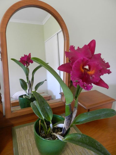 Hay Point Country BnB - Perths Hotel 10
