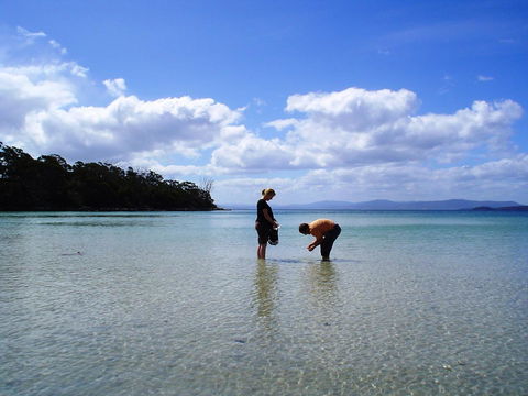 Bruny Island Escapes And Hotel Bruny - Perths Hotel 36