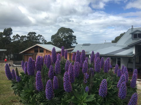 Bruny Island Lodge - Perths Hotel 5