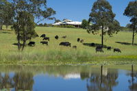 Book Nabiac Accommodation Vacations Perths Hotel Perths Hotel