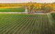 Cape Horn Vineyard 5 Bedroom Riverfront House On Working Vineyard - thumb 2