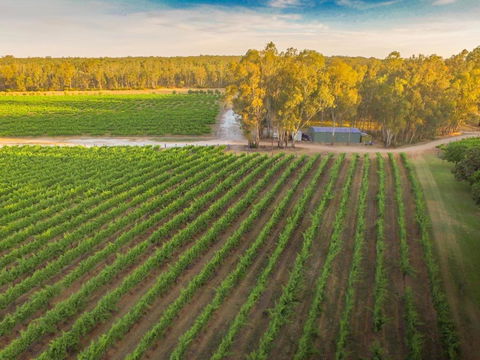 Cape Horn Vineyard 5 Bedroom Riverfront House On Working Vineyard - Perths Hotel 2