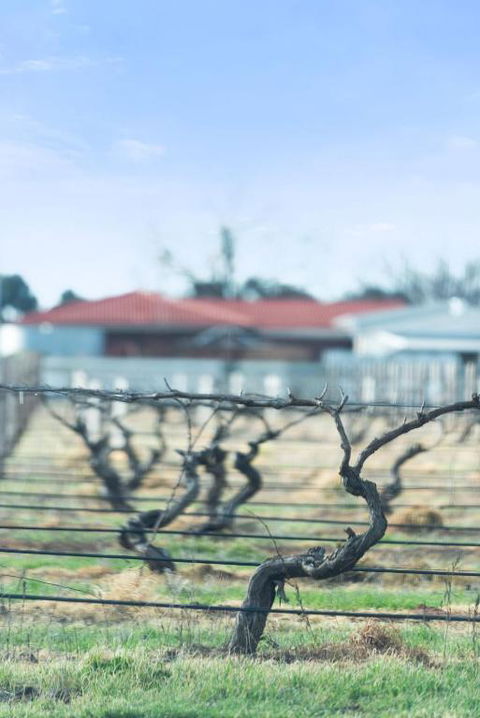 Crimson Ridge - Wines, Vines And Dine - Perths Hotel 1
