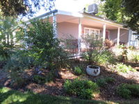Book Irymple Accommodation Vacations Perths Hotel Perths Hotel