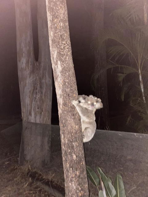 5 Mins To Movie World & Pet Friendly - Perths Hotel 0