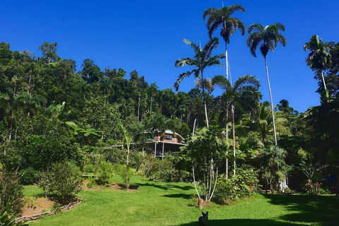 A Daintree Garden - Perths Hotel 0