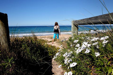 Absolute Beachfront Mollymook - Perths Hotel 3