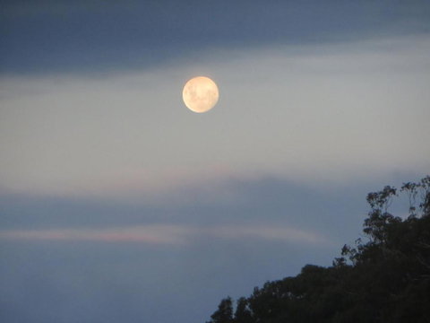 Eildon Parkview Motor Inn Room 9 - Perths Hotel 2