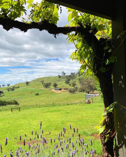 Elevation652 At Mt Bellevue In King Valley - Perths Hotel 2