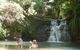 Fairy Falls - Romantic Daintree Rainforest Retreat With Enchanting Waterfall - thumb 0