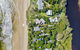Fuller Holidays - Belongil Beach Pavilion House, 18A Childe St - thumb 1