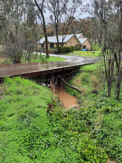 Frogmouth Hollow - Perths Hotel 4