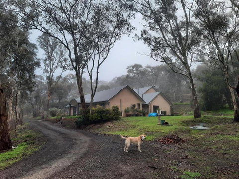 Frogmouth Hollow - Perths Hotel 0