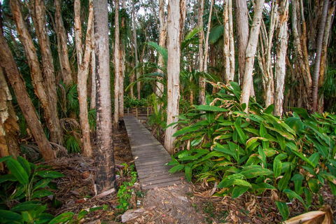 Agnes Palms Accommodation - Perths Hotel 0