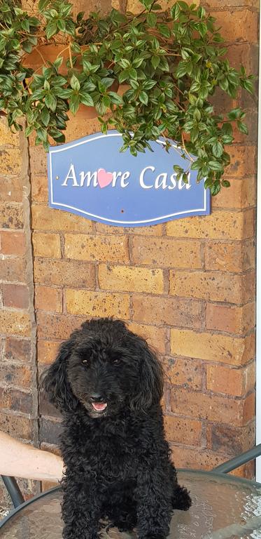 Amore Casa Tenterfield - Perths Hotel 2