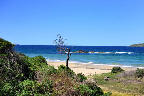 Aqualuna Beach Resort - Unit 25 - Perths Hotel 3