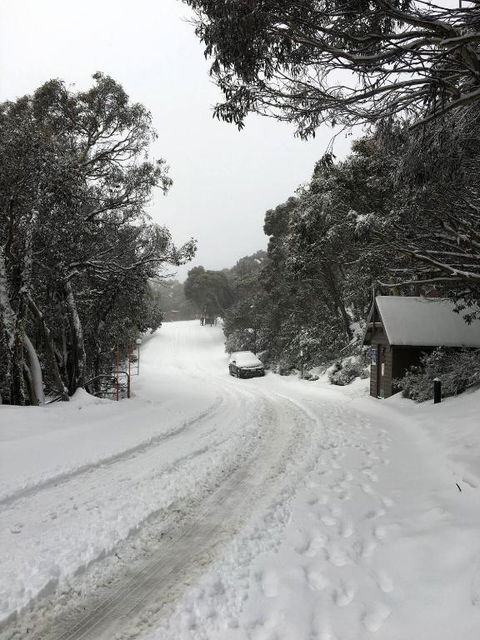 MAGNIFICENT SKIING ON MOUNT BULLER - Perths Hotel 3