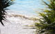 Main Beach Gem Luxury Retreat - thumb 2