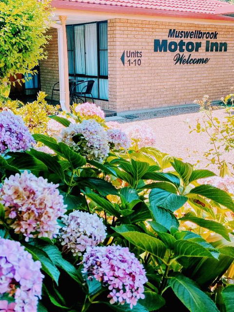 Muswellbrook Motor Inn - Perths Hotel 0