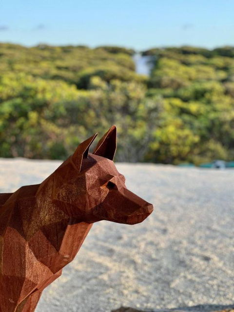 Native Dog Cabin - Perths Hotel 2