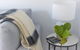 New Spacious 1 Bedroom Apartment Rosebery - thumb 2