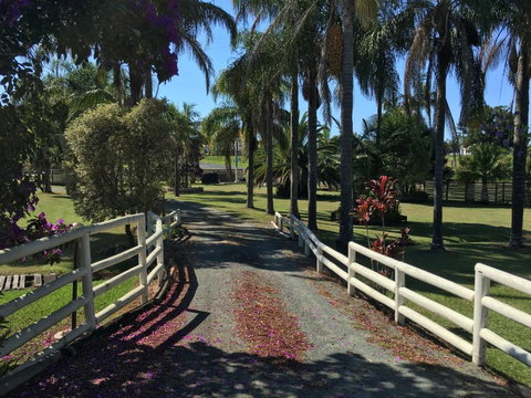 Palms Oasis Motel - Perths Hotel 3