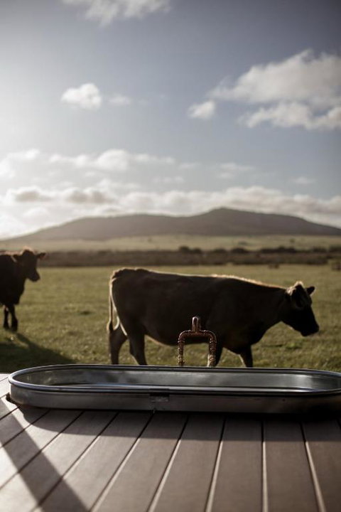 Peter The Tiny Cabin In Esperance - Perths Hotel 1