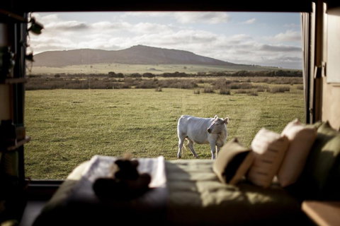 Peter The Tiny Cabin In Esperance - Perths Hotel 0