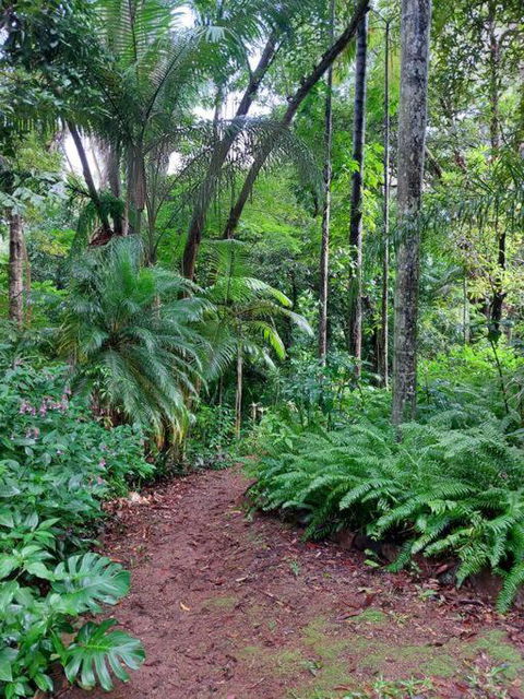 Rainforest Retreat-Fireplace-BBQ-3 Acres- - Perths Hotel 0