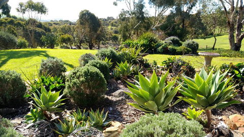 Austiny Bed And Breakfast Victor Harbor - Perths Hotel 2