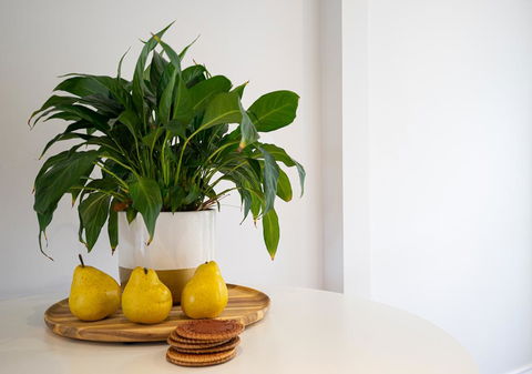 Azure Beach Retreat - Spa Luxury - Perths Hotel 2