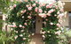 Baudins Of Busselton Bed And Breakfast - thumb 0