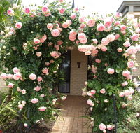 Baudins of Busselton Bed and Breakfast - Perths Hotel