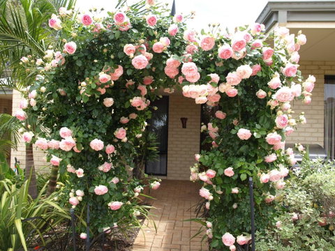 Baudins Of Busselton Bed And Breakfast - Perths Hotel 0