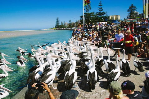 Beach And Ocean Front Penthouse With Wifi And Parking - Perths Hotel 2