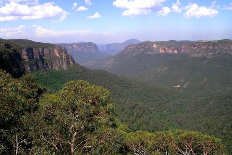 Ribbon Gum Lodge - Perths Hotel 1